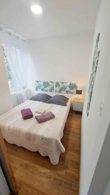 Cosy Apartamento
